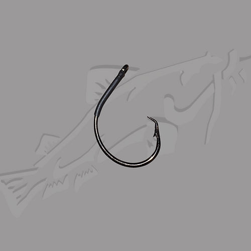 Nocturnal Nation Aurora